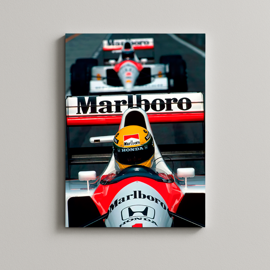 MTR Metal Print – SENNA