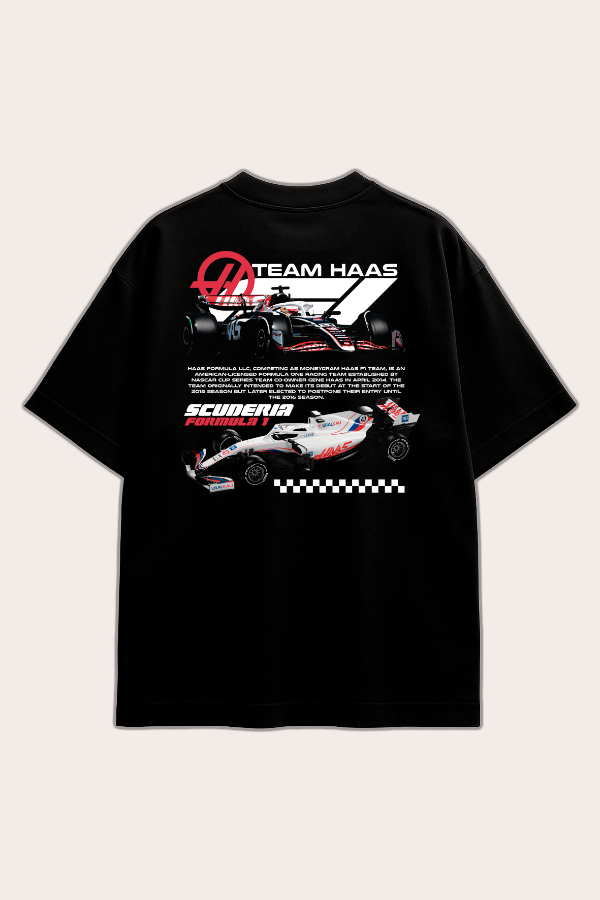 TEAM HAAS