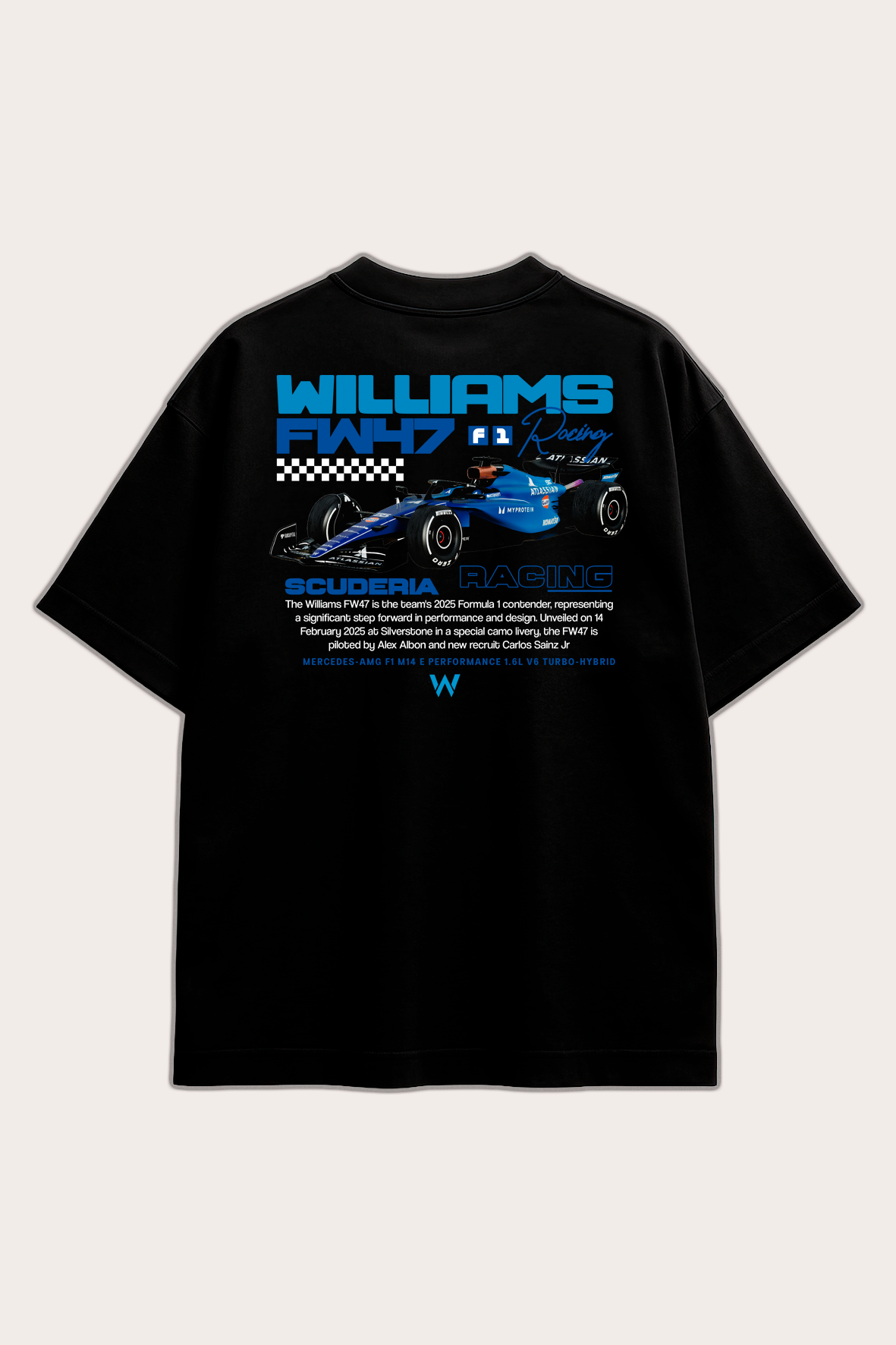 WILLIAMS FW47